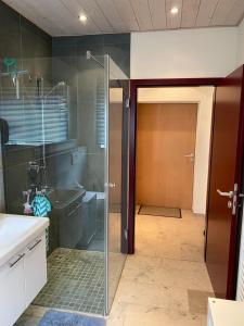a bathroom with a shower with a glass door at Ferienwohnung Red Horse Ranch in Eichstätt +9 photos