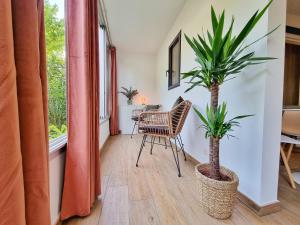 a living room with a chair and a palm tree at Écrin de Verdure - Design & Confort T2 38m2, WIFI, Piscine & Plage à 200m in La Grande Motte