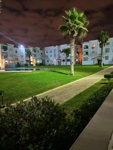 a palm tree in a park at night at harhoura Résidence Badia in Temara
