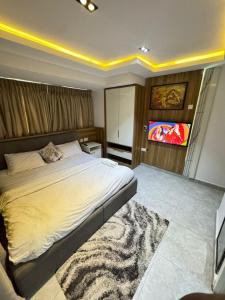 a bedroom with a large bed and a tv at The Adun Grove in Lekki