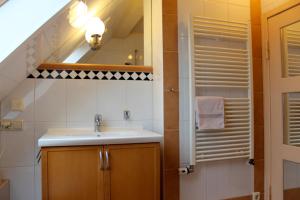 ein Bad mit einem Waschbecken und einem Spiegel in der Unterkunft Ferienwohnung Rundumblick in Sassnitz
