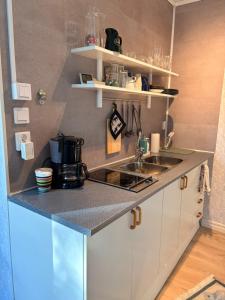 a kitchen with a sink and a counter top at Kyrkåsen in Borgvik
