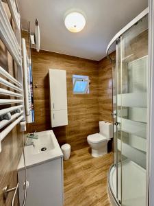 a bathroom with a toilet and a sink and a shower at Villa Alicante Beach in El Campello +18 photos