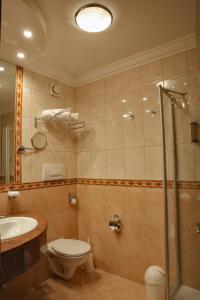 a bathroom with a shower and a toilet and a sink at Gräfliches Hotel Alte Post in Bad Birnbach +63 photos