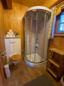 a bathroom with a shower and a toilet in a room at Pichelhütte in Murau