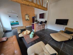 a living room with couches and a flat screen tv at Gîte, jacuzzi et piscine in Cintegabelle +4 photos