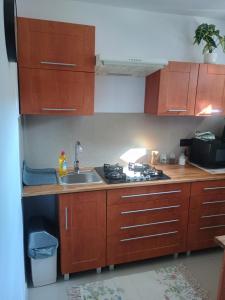 a kitchen with wooden cabinets and a sink at Noclegi u Beaty in Dubiecko