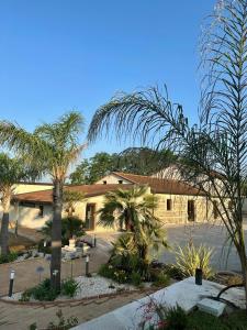 a building with palm trees in front of it at Il Casale della Baronessa in Palmi