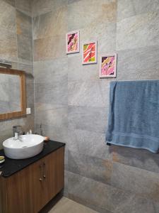 a bathroom with a sink and a mirror at Skyra Villa in Mahébourg