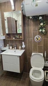 a bathroom with a toilet and a sink and a mirror at Nayri HOUSE Самоков,село Доспей in Dospey +23 photos