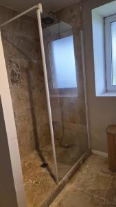 a shower with a glass door in a bathroom at Petit Gîte à la campagne in Brains-sur-Gée +5 photos