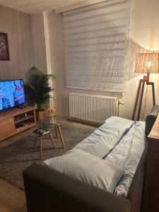a living room with a couch and a flat screen tv at Bel apartment - Waterloo in Waterloo