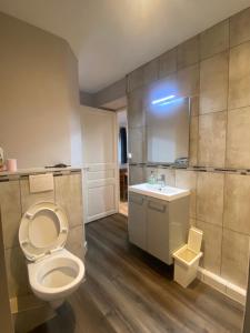 a bathroom with a toilet and a sink at Confortable studio meublé classé 3 étoiles in Châtel-Guyon