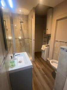 a bathroom with a sink and a shower and a toilet at Confortable studio meublé classé 3 étoiles in Châtel-Guyon