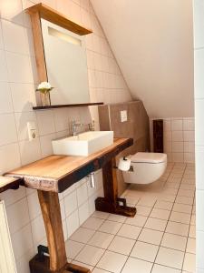 a bathroom with a sink and a toilet at Ferienwohnung Dümmerling in Hüde in Hüde