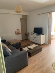 a living room with a couch and a tv at Les Cocons de Nabeillou in Graulhet