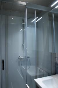 a glass shower in a bathroom with a sink at Studio Avondzon in Blankenberge