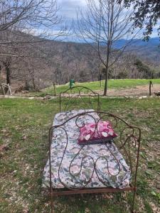 a metal bed with a pillow on it in a field at Cabane en Cévennes in Saint-Germain-de-Calberte