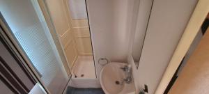 a small bathroom with a toilet and a shower at Towyn Happy Days K3 in Rowen
