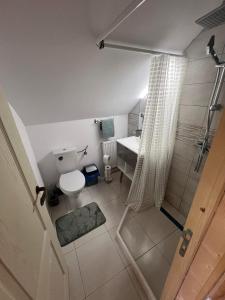 a bathroom with a toilet and a sink and a shower at Domeniul La Mosie in Slimnic +21 photos
