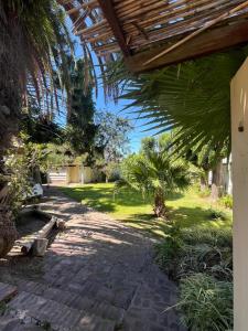 a patio with a shady yard with a palm tree at Carpe Diem Gonnet in Joaquín Gorina