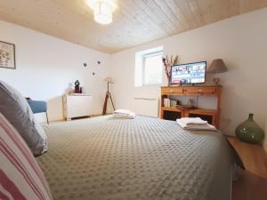 a bedroom with a bed and a tv in it at La tournette - Sur la route d'Annecy in Alby