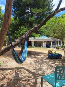 a blue hammock hanging from a tree in a yard at Acuarela Hostal in Playa Blanca