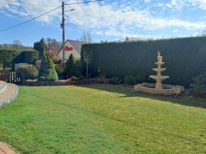 a garden with a fountain in the middle of a yard at Przystań nad Dłubnią in Wysocice +5 photos