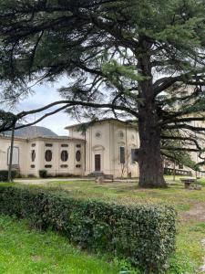 an old house with a tree in front of it at Grand Tour Suite Home in Spoleto