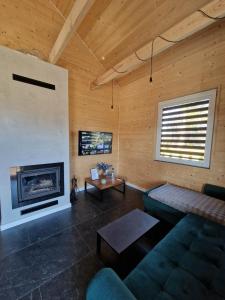 a living room with a couch and a fireplace at Azyl na Polesiu domki przy Poleskim Parku Narodowym in Załucze Nowe