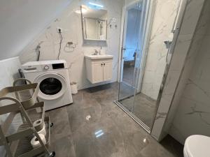 a bathroom with a washing machine and a shower at Villa Otto - Private Pool & Garden in Zagreb