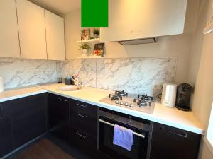 a kitchen with a sink and a stove at Birštonas Relax Apartment in Birštonas +10 photos