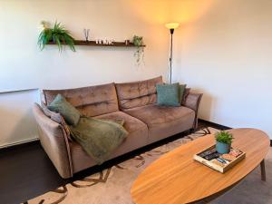 a living room with a brown couch and a table at Birštonas Relax Apartment in Birštonas