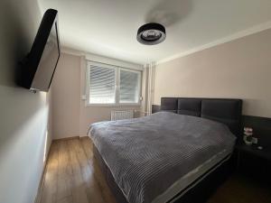 a bedroom with a bed and a flat screen tv at Bella Mela 2 in Tuzla