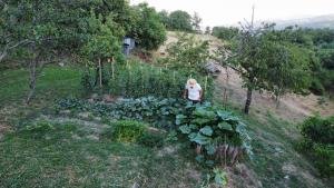 a little girl standing next to a garden at L'Orto di Scarpaccia in Pratovecchio