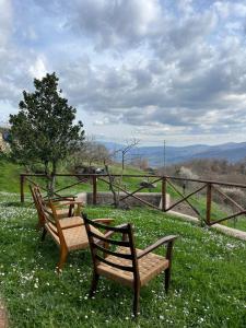 three benches sitting in a field with a tree at L'Orto di Scarpaccia in Pratovecchio