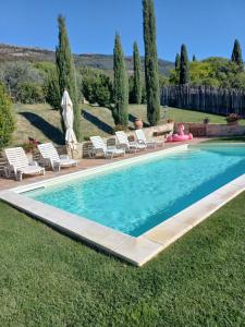 a swimming pool in a yard with lounge chairs and a pool at Podere Battegone in Menestrello