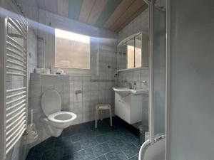 a bathroom with a toilet and a sink at Chalet Villa Josi Superior Appartement 11 in Leutasch