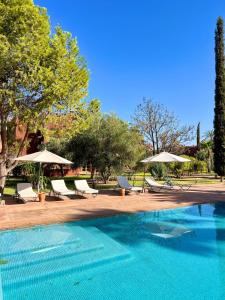 a swimming pool with lounge chairs and umbrellas at Dar Alba in Marrakesh