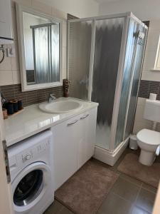 a bathroom with a washing machine and a sink at Apartment Perla in Dinjiška +14 photos