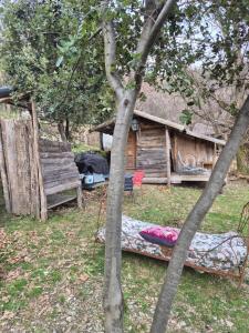 a log cabin with a table and chairs in the yard at Cabane en Cévennes in Saint-Germain-de-Calberte +4 photos
