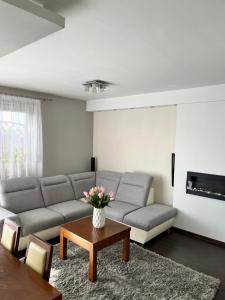 a living room with a couch and a table at Ogrodowa Apartament in Ciechocinek