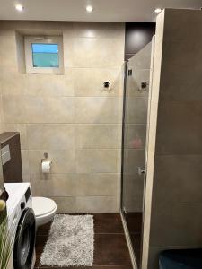 a bathroom with a shower with a toilet and a window at Ogrodowa Apartament in Ciechocinek