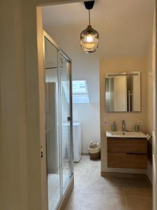 a bathroom with a shower and a sink and a mirror at Vichy Cosy T2 plein centre, thermes et parcs in Vichy +3 photos