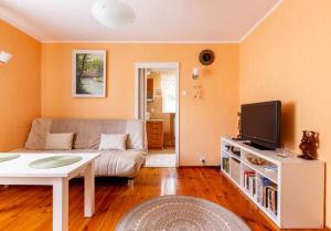 a living room with a couch and a tv at Apartament pod mewą in Gdynia