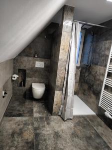 a bathroom with a toilet and a shower at Ferienwohnung Kampić Hirsch & Heimat in Rottweil +48 photos