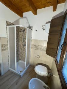 a bathroom with a shower with a toilet and a sink at Ginepro Home Holidays in Villanova Monteleone