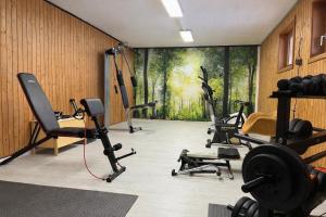 a gym with exercise equipment and a painting on the wall at Hotel Bergfreiheit 7 in Schonach