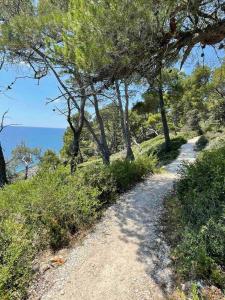 a dirt path on a hill with trees and the ocean at Volme home in Banjole