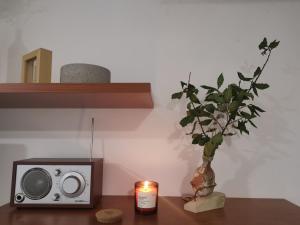 a candle and a small radio and a vase with a plant at Volme home in Banjole